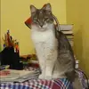 Отзыв от Алиса Столярова